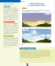 Miniatura página 75 de Ciencias Naturales – Primero Básico | Texto del Estudiante (MINEDUC) – Descargar PDF · 2024