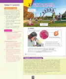 Miniatura página 13 de Ciencias Naturales – Séptimo Básico | Texto del Estudiante MINEDUC – Descargar PDF · 2024
