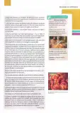 Miniatura página 54 de Lengua y Literatura 1 BGU (PDF de 64 páginas) · 2025