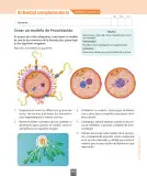 Miniatura página 156 de Ciencias Naturales – Séptimo Básico | Texto del Estudiante MINEDUC – Descargar PDF · 2024