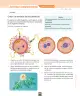 Miniatura página 156 de Ciencias Naturales – Séptimo Básico | Texto del Estudiante MINEDUC – Descargar PDF · 2024