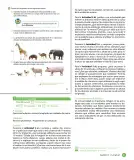Miniatura página 53 de Sumo Primero – Cuarto Básico | Texto del Estudiante MINEDUC – Descargar PDF · 2024
