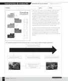 Miniatura página 114 de Historia, Geografía y Ciencias Sociales – Sexto Básico | Texto del Estudiante MINEDUC – Descargar PDF · 2024