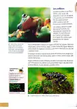 Miniatura página 17 de Ciencias Naturales 4° · Egb 4 Ciencias Naturales 2025 · 2025
