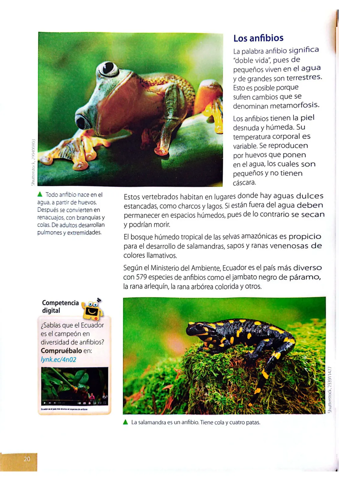 Miniatura página 17 de Ciencias Naturales · 4 EGB · 2025
