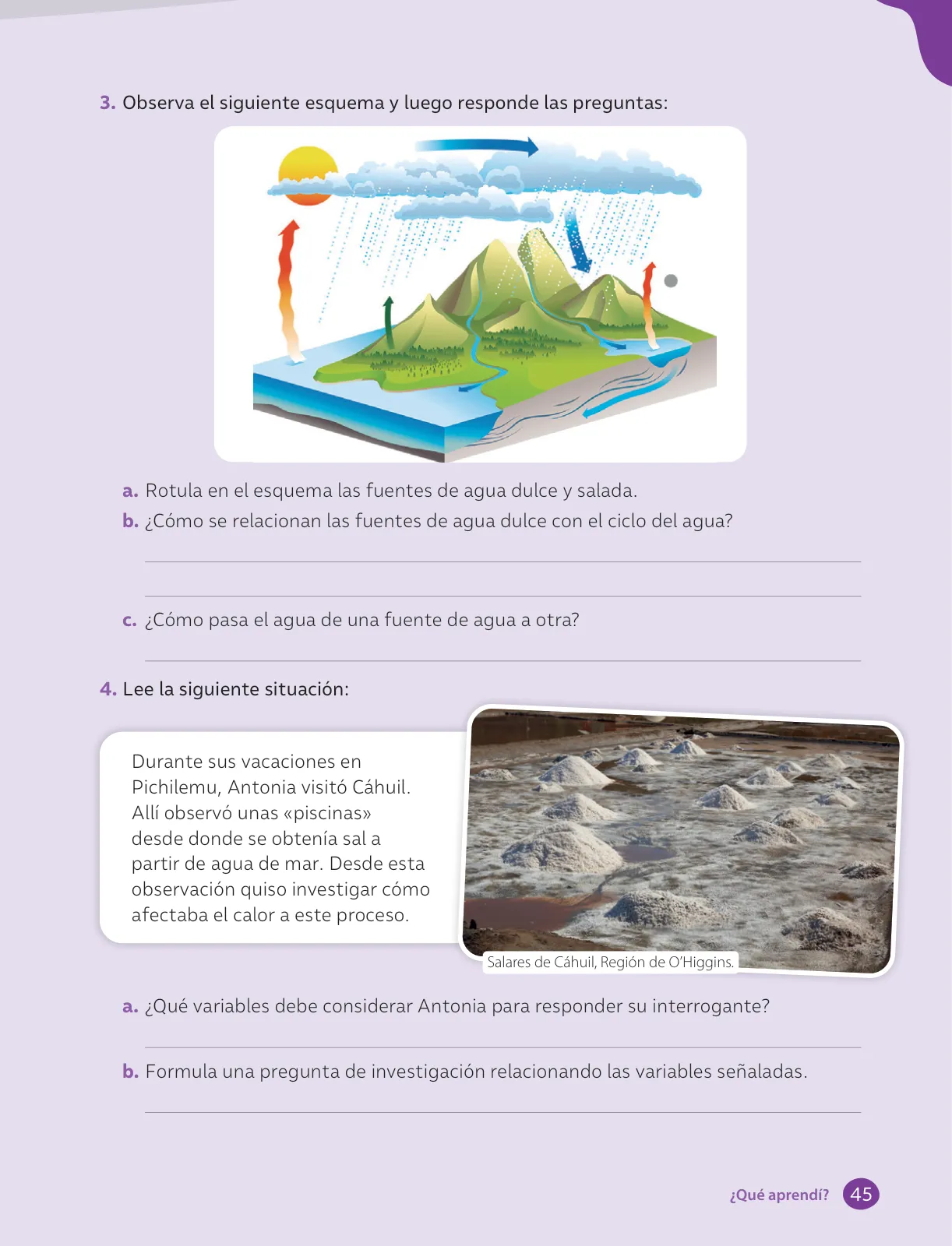 Página 47 de Libro de Ciencias Naturales – Quinto Básico | Texto del Estudiante MINEDUC – Descargar PDF · 2024