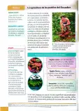 Miniatura página 127 de Ciencias Naturales 4° · Egb 4 Ciencias Naturales 2025 · 2025