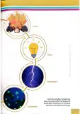 Miniatura página 168 de Ciencias Naturales 4° · Egb 4 Ciencias Naturales 2025 · 2025