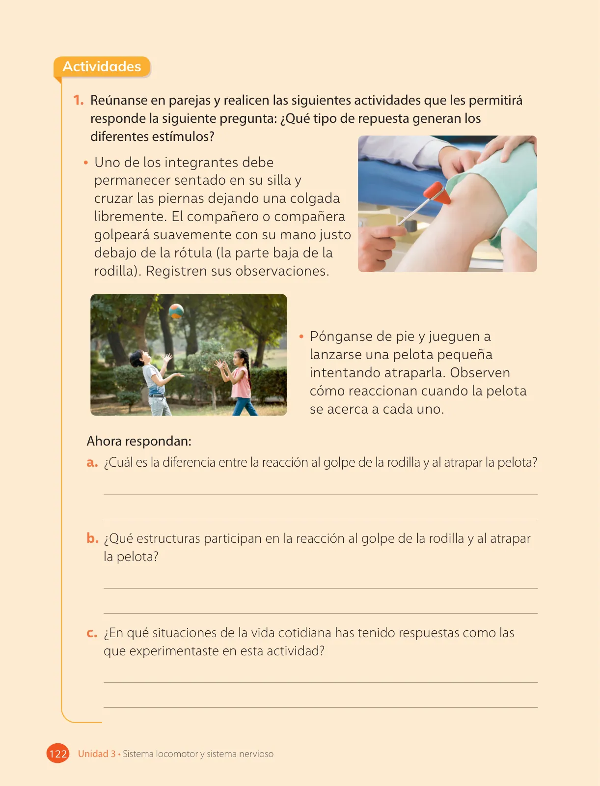 Miniatura página 124 de Ciencias Naturales – Cuarto Básico | Texto del Estudiante MINEDUC – Descargar PDF · 2024