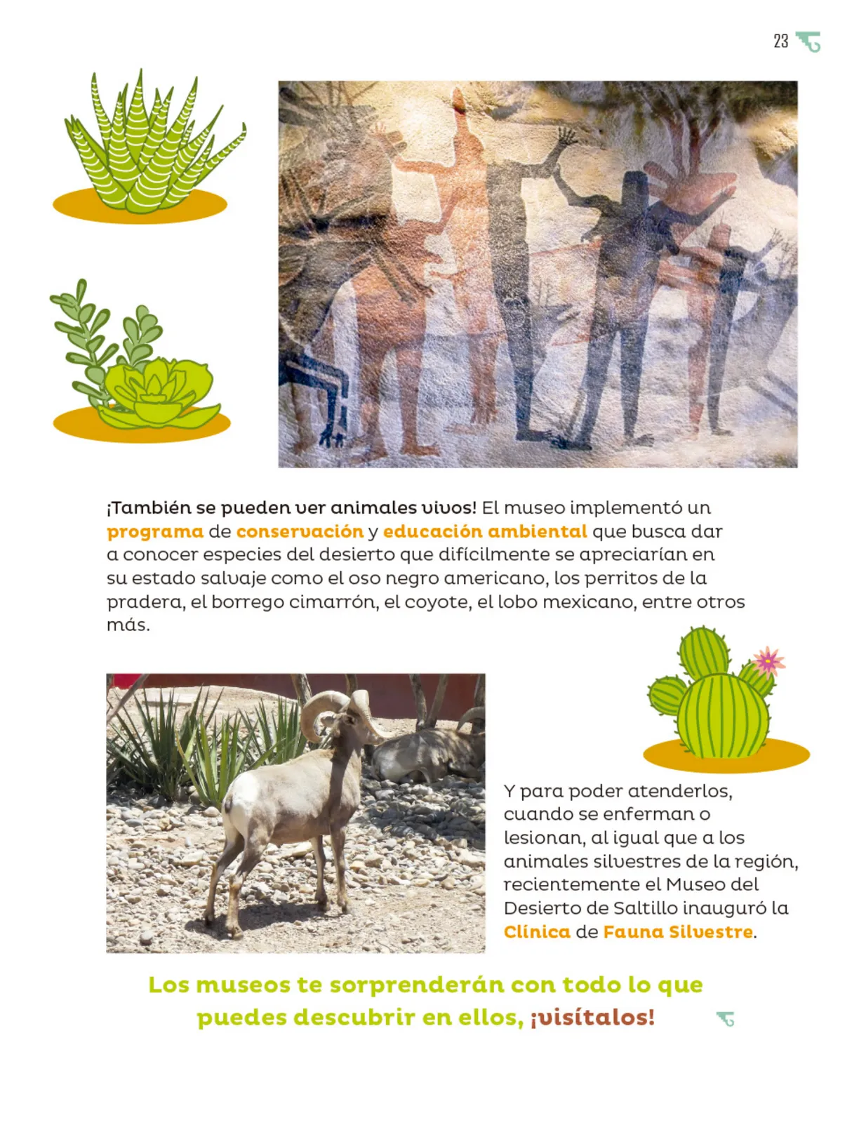 Página 24 de Múltiples lenguajes. Libro de Educación Primaria Grado 5° Ciclo Escolar 2025 - 2026