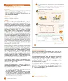 Miniatura página 82 de Sumo Primero – Quinto Básico | Texto del Estudiante MINEDUC – Descargar PDF · 2024