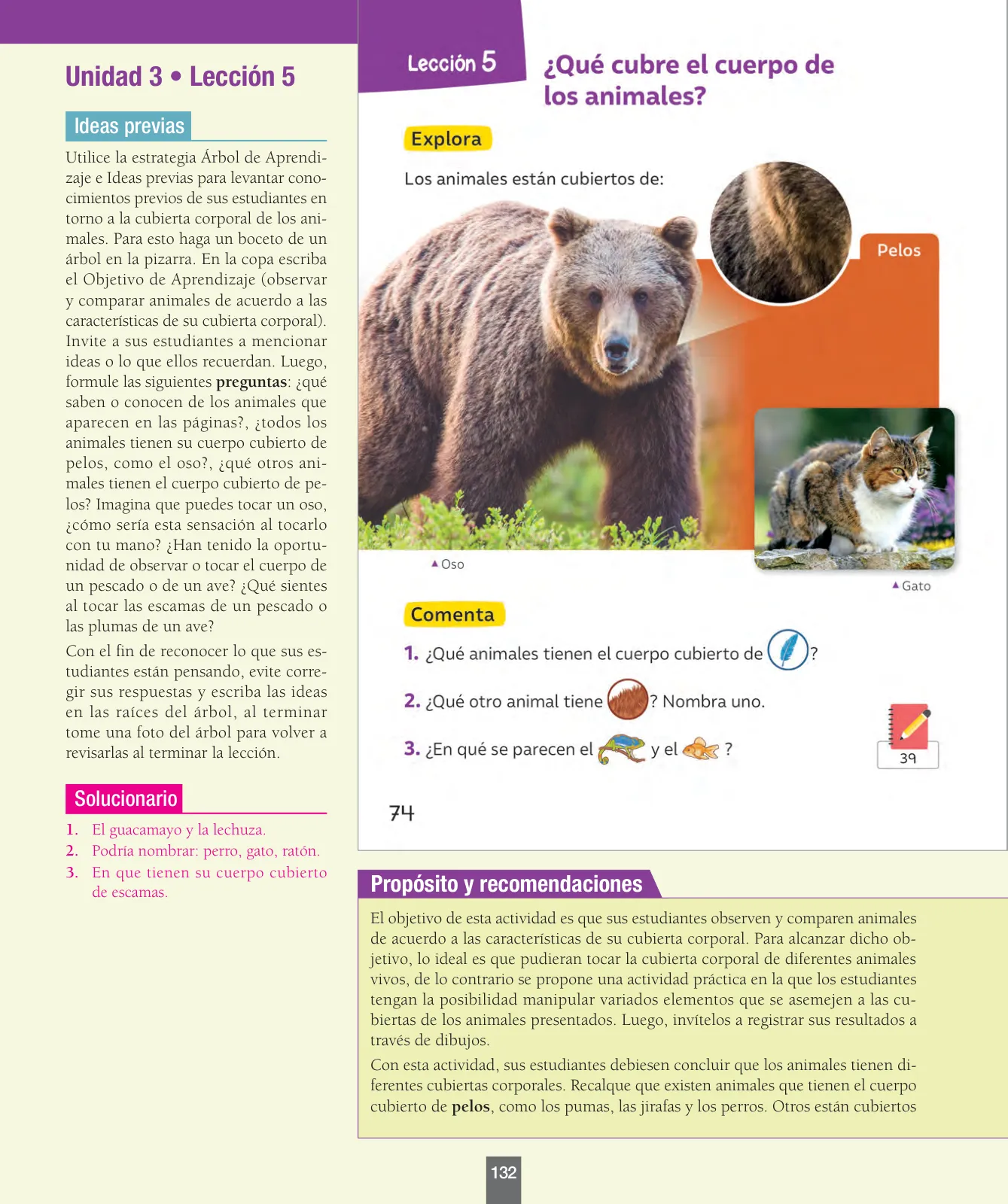 Miniatura página 133 de Ciencias Naturales – Primero Básico | Texto del Estudiante (MINEDUC) – Descargar PDF · 2024