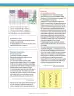 Miniatura página 143 de Matematica 6° · Secundaria Activa