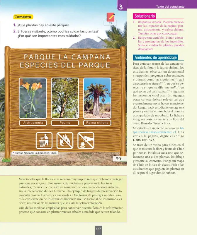 Página 158 de Ciencias Naturales – Primero Básico | Texto del Estudiante (MINEDUC) – Descargar PDF · 2024