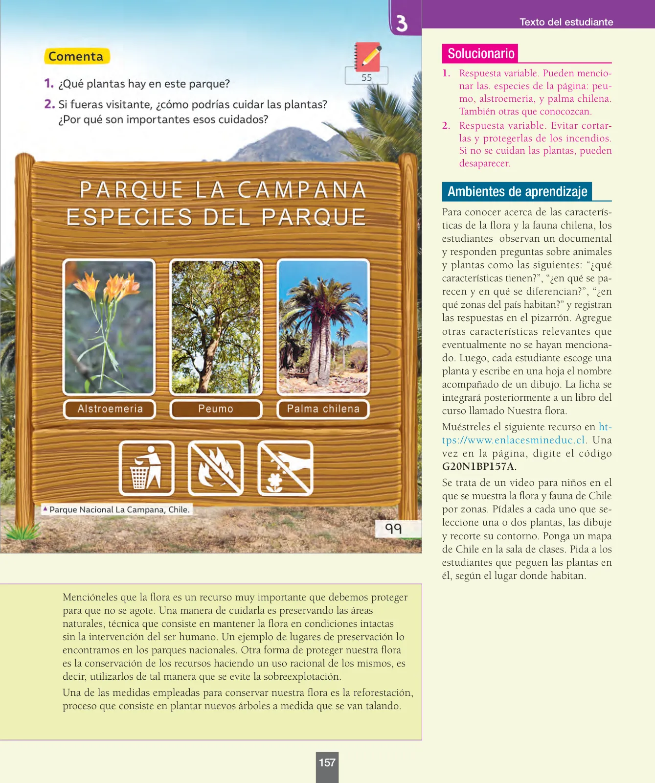 Miniatura página 158 de Ciencias Naturales – Primero Básico | Texto del Estudiante (MINEDUC) – Descargar PDF · 2024