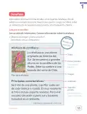 Miniatura página 57 de Lenguaje y Comunicación – Segundo Básico – Texto del Estudiante MINEDUC – Descargar PDF · 2024