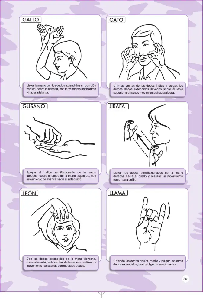 Página 201 de Lengua de señas peruana : guía para el aprendizaje de la lengua de señas peruana, vocabulario básico · 2015