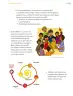 Miniatura página 74 de Proyectos Comunitarios.   Libro de Educación Primaria Grado 6°  Ciclo Escolar 2025 - 2026