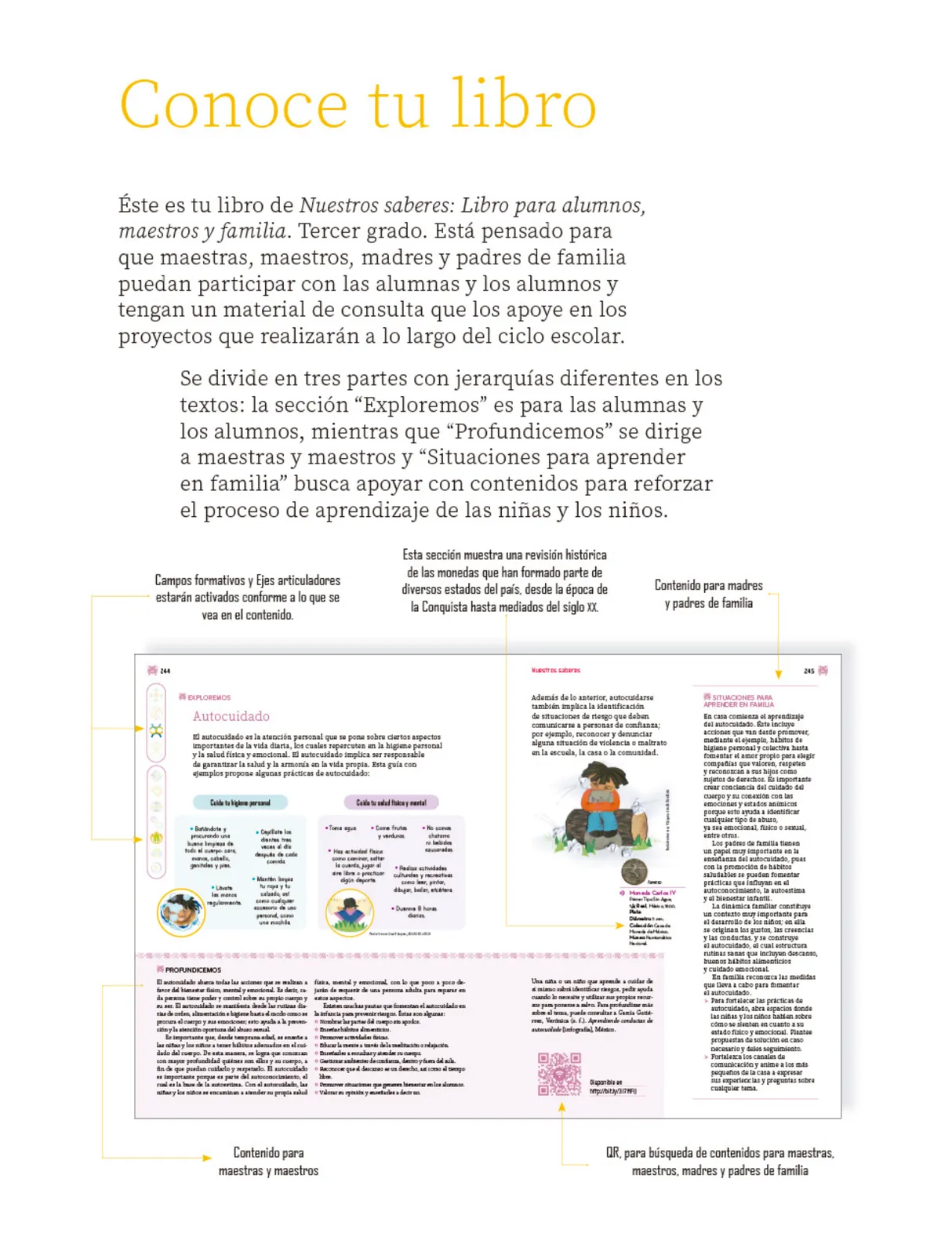 Miniatura página 6 de Nuestros saberes: Libro para alumnos, maestros y familia.   Libro de Educación Primaria Grado 3°  Ciclo Escolar 2025 - 2026