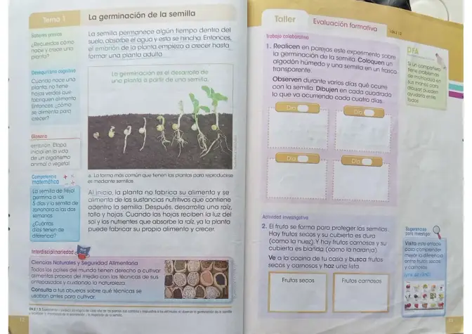 Página 5 de Ciencias Naturales 3° · Egb 3 Ciencias Naturales 2024 · 2024