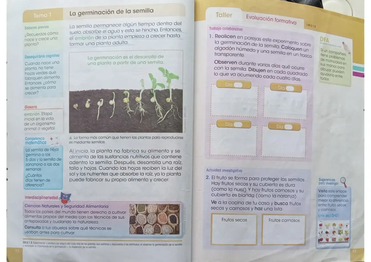 Página 5