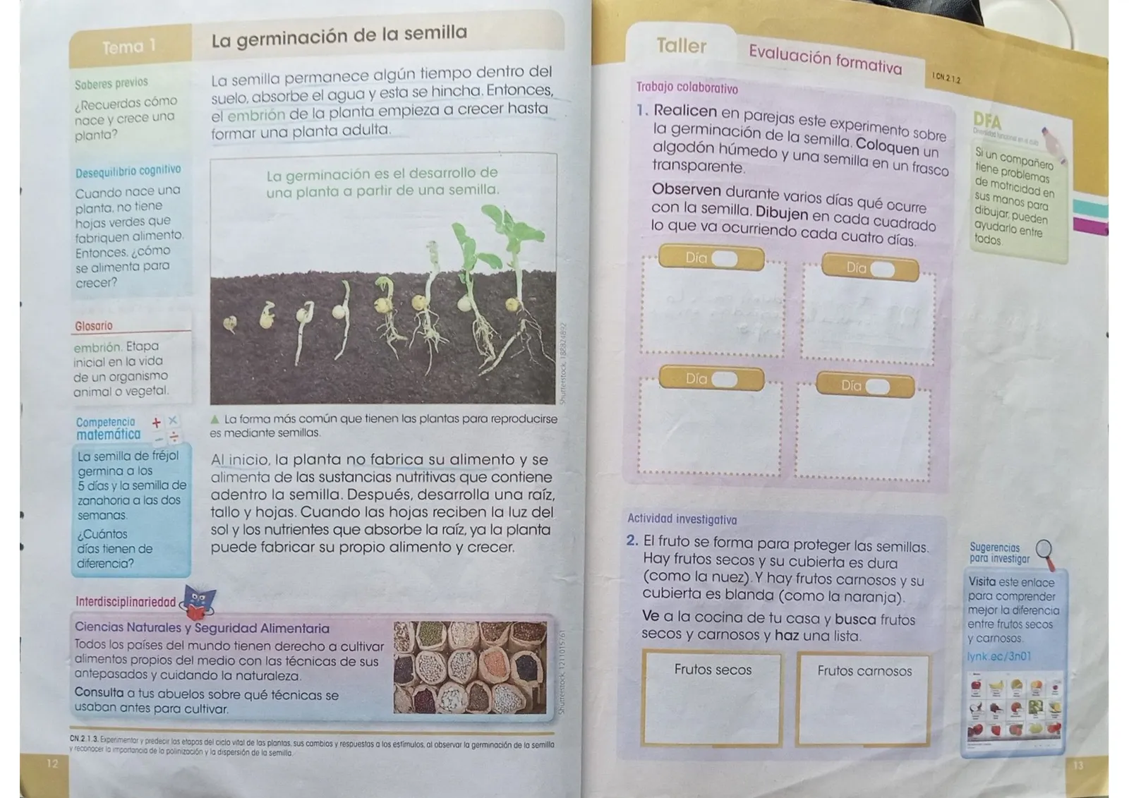 Pág 5
