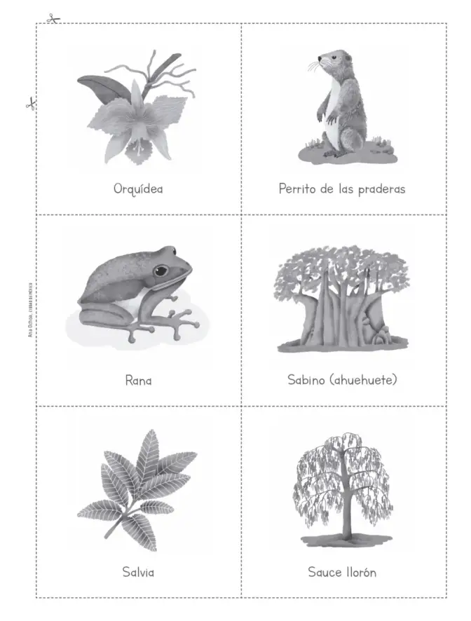 Página 90 de Múltiples lenguajes. Trazos y palabras. Libro de Educación Primaria Grado 2° Ciclo Escolar 2025 - 2026