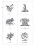 Miniatura página 90 de Múltiples lenguajes. Trazos y palabras.   Libro de Educación Primaria Grado 2°  Ciclo Escolar 2025 - 2026