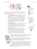 Miniatura página 138 de Nuestros saberes: Libro para alumnos, maestros y familia.   Libro de Educación Primaria Grado 6°  Ciclo Escolar 2025 - 2026