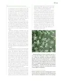 Miniatura página 84 de Modalidades de trabajo para la acción transformadora y el codiseño  Libro de Educación Preescolar Grado 1°, 2°, 3°  Ciclo Escolar 2025 - 2026