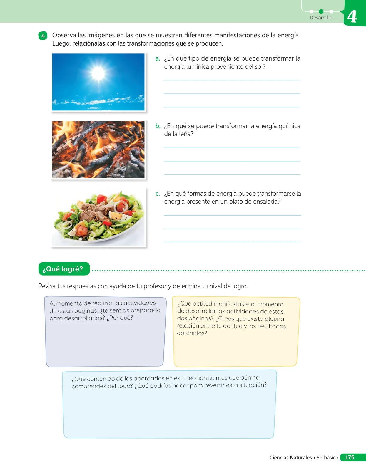 Página 80 de Libro de Ciencias Naturales – Quinto Básico | Texto del Estudiante MINEDUC – Descargar PDF · 2024