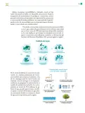 Miniatura página 40 de Colección Nanahuatzin. De lo humano y lo comunitario.   Libro de Educación Telesecundaria Grado 3°  Ciclo Escolar 2025 - 2026