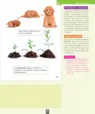 Miniatura página 84 de Ciencias Naturales – Primero Básico | Texto del Estudiante (MINEDUC) – Descargar PDF · 2024