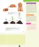 Miniatura página 84 de Ciencias Naturales – Primero Básico | Texto del Estudiante (MINEDUC) – Descargar PDF · 2024