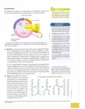 Miniatura página 52 de Ciencias Naturales 9° · 2025