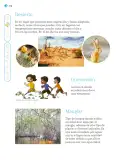 Miniatura página 117 de Nuestros saberes: Libro para alumnos, maestros y familia.   Libro de Educación Primaria Grado 2°  Ciclo Escolar 2025 - 2026