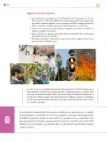 Miniatura página 199 de Colección Ximhai. Saberes y pensamiento científico.   Libro de Educación Secundaria Grado 1°  Ciclo Escolar 2025 - 2026