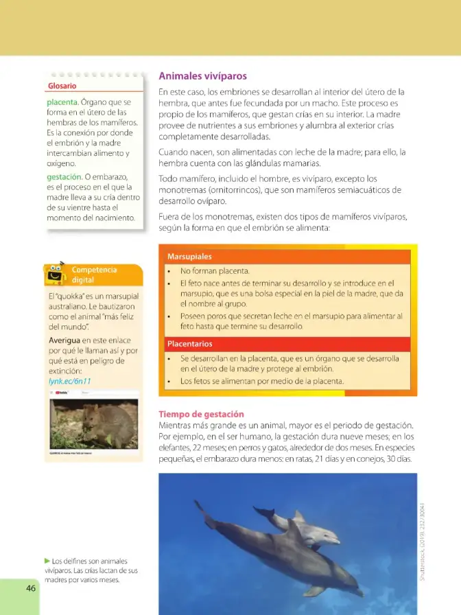 Página 48 de Ciencias Naturales 6° · Egb 6 Ciencias Naturales 2025 · 2025
