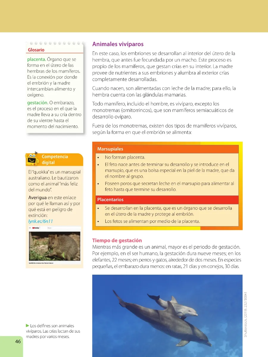 Pág 48