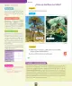 Miniatura página 153 de Ciencias Naturales – Primero Básico | Texto del Estudiante (MINEDUC) – Descargar PDF · 2024