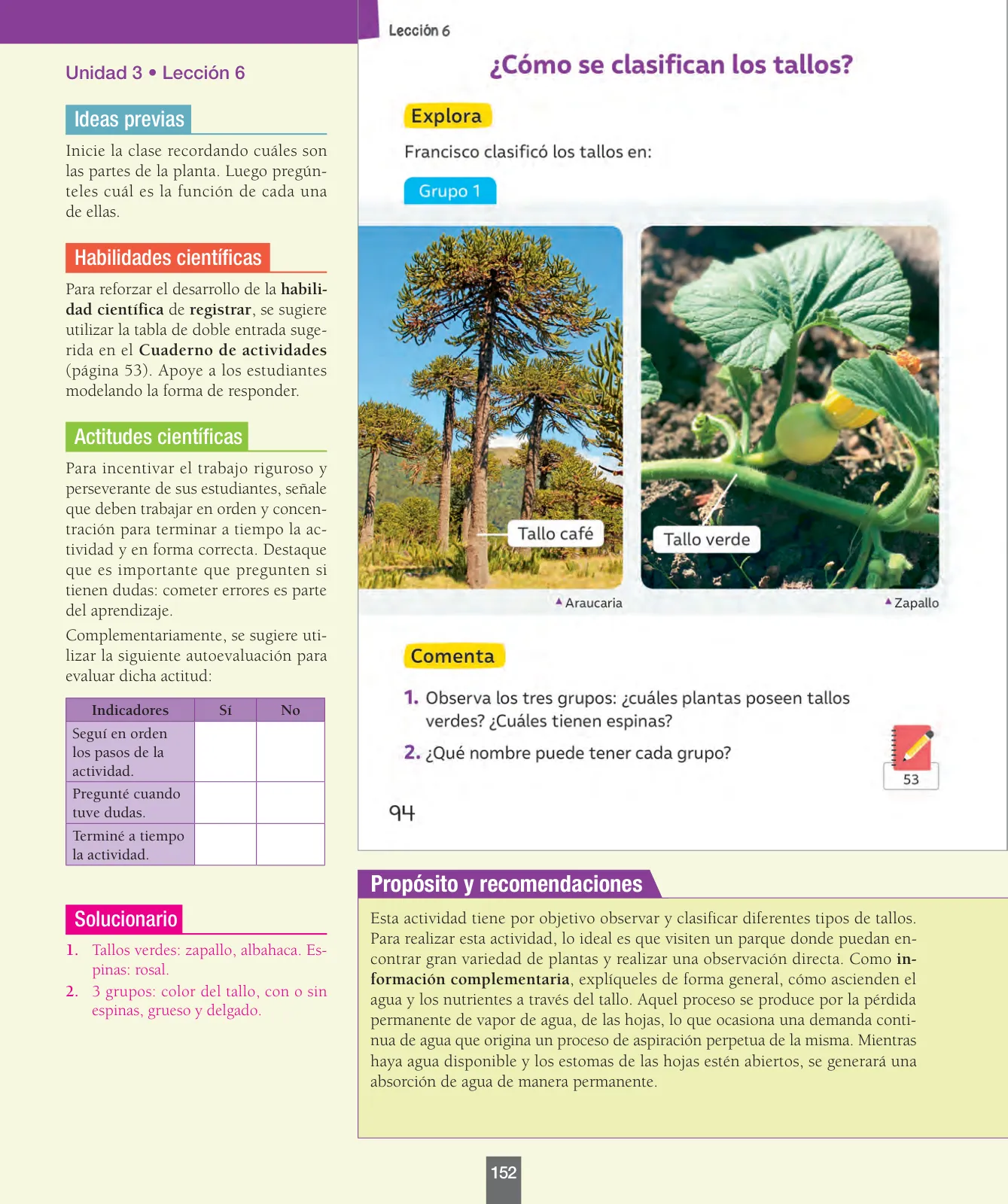 Miniatura página 153 de Ciencias Naturales – Primero Básico | Texto del Estudiante (MINEDUC) – Descargar PDF · 2024