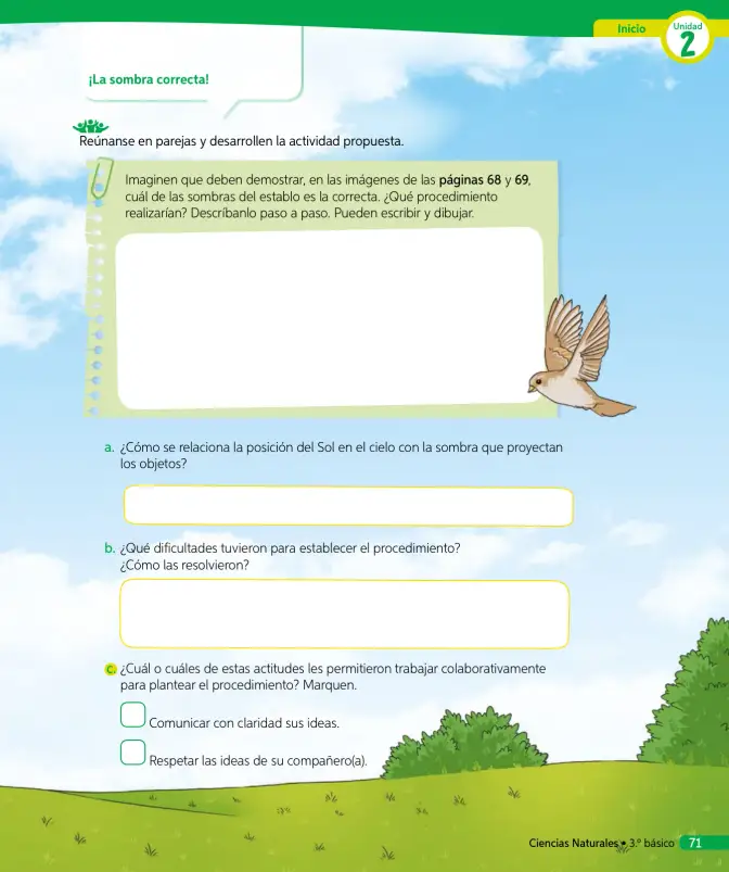 Página 176 de Ciencias Naturales – Tercero Básico | Texto del Estudiante MINEDUC – Descargar PDF · 2024