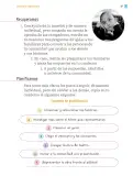 Miniatura página 92 de Proyectos Comunitarios.   Libro de Educación Primaria Grado 1°  Ciclo Escolar 2025 - 2026