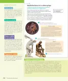 Miniatura página 109 de Historia, Geografía y Ciencias Sociales – Séptimo Básico | Texto del Estudiante MINEDUC – Descargar PDF · 2024