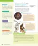 Miniatura página 109 de Historia, Geografía y Ciencias Sociales – Séptimo Básico | Texto del Estudiante MINEDUC – Descargar PDF · 2024