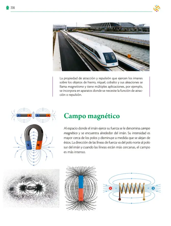 Página 237 de Colección Sk´asolil. Saberes y pensamiento científico. Libro de Educación Telesecundaria Grado 2° Ciclo Escolar 2025 - 2026