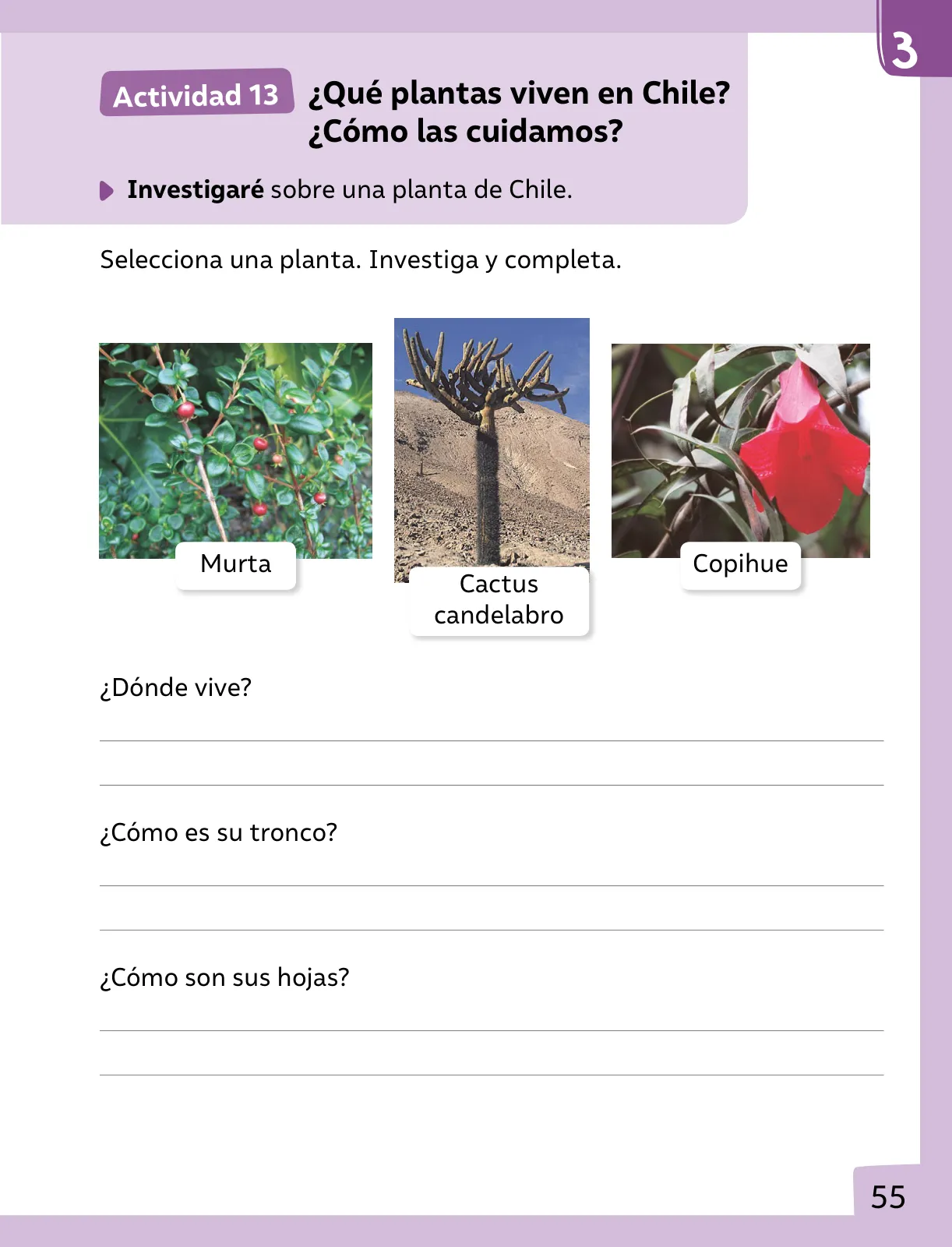 Página 56 de Ciencias Naturales – Primero Básico | Texto del Estudiante (MINEDUC) – Descargar PDF · 2024