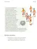Miniatura página 198 de Proyectos Escolares.   Libro de Educación Primaria Grado 2°  Ciclo Escolar 2025 - 2026