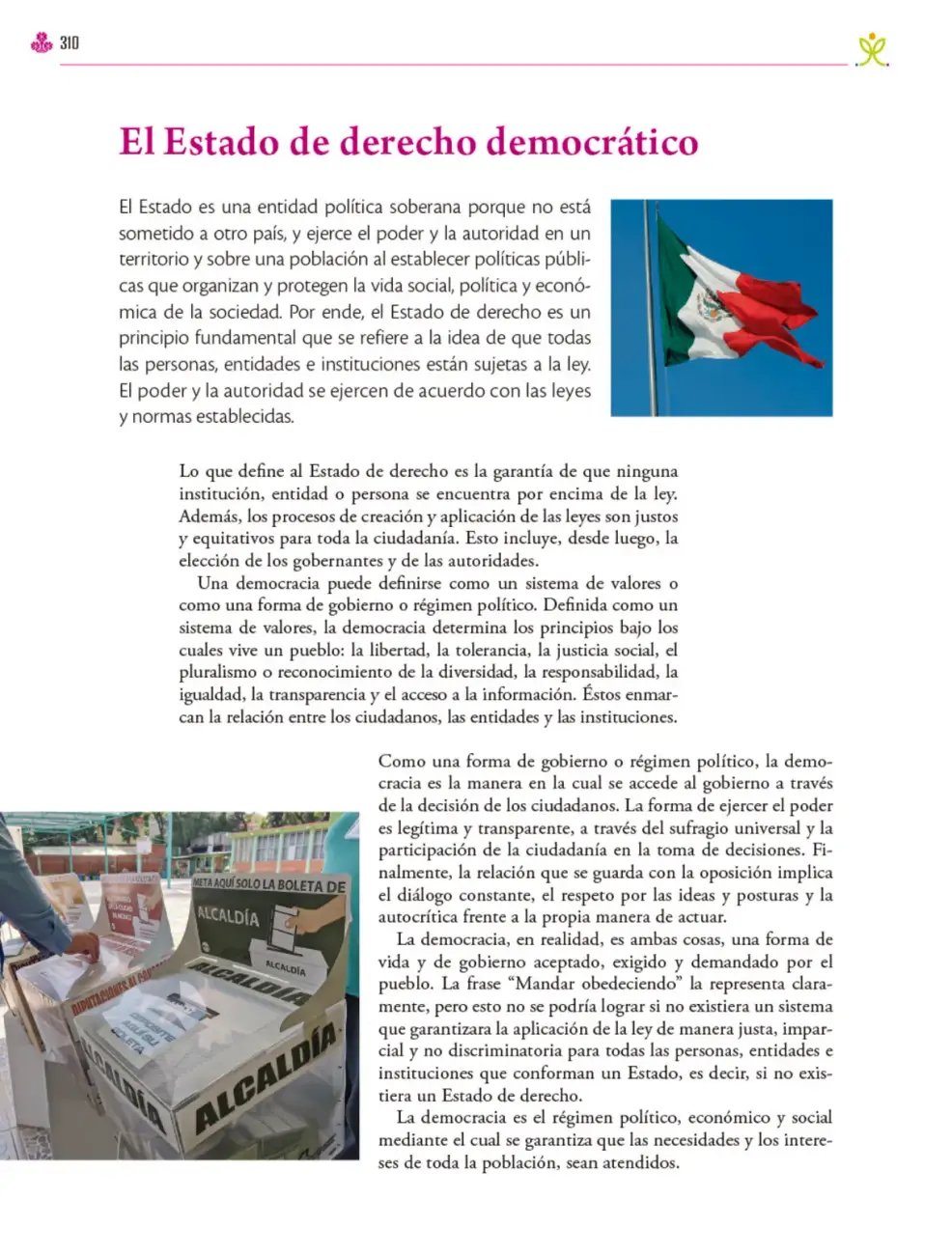 Página 311
