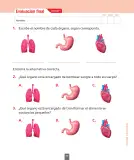 Miniatura página 58 de Ciencias Naturales – Segundo Básico | Texto del Estudiante MINEDUC – Descargar PDF · 2024